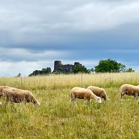 Le Du Vernet - Vue Chateau Et Nature 木屋 *