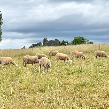 Le Du Vernet - Vue Chateau Et Nature